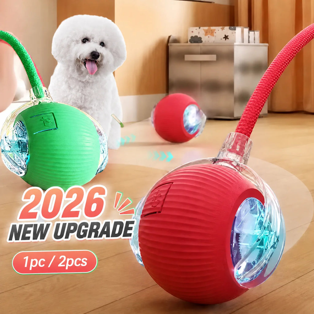 Dog Treat Dispensing Chew Ball