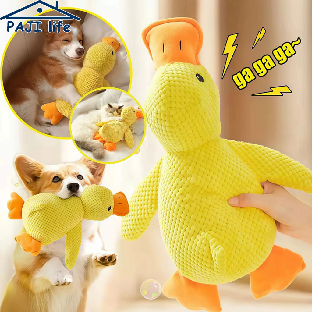 Quackers Plush Squeaky Duck
