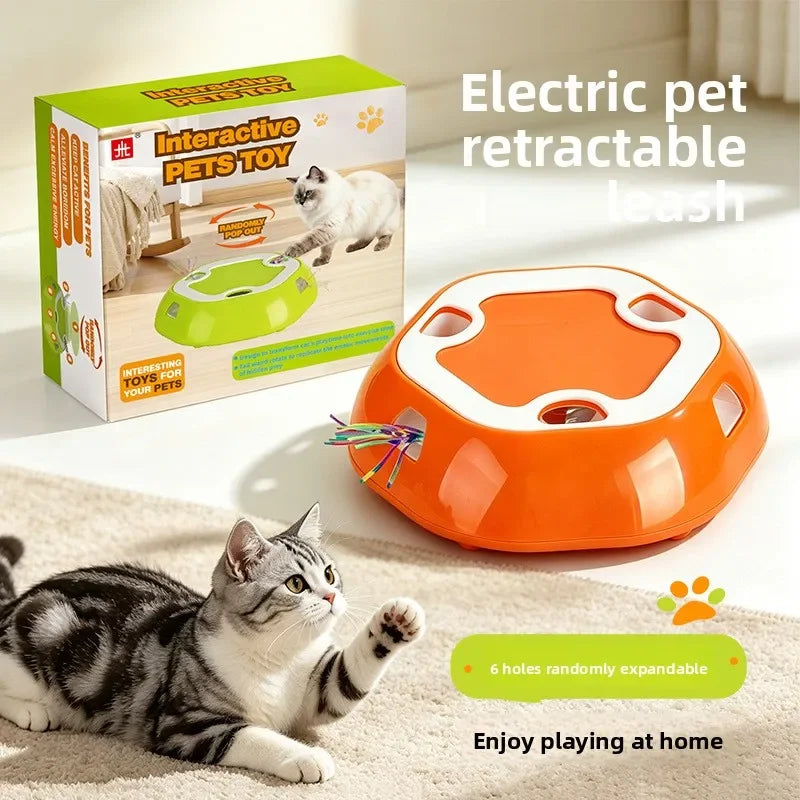 Peek-a-Paw Interactive Cat Toy