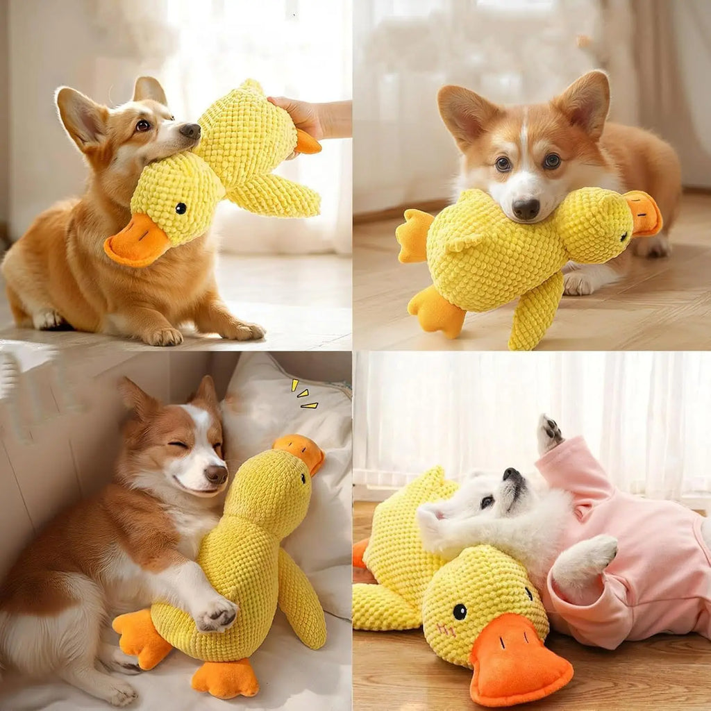 Quackers Plush Squeaky Duck