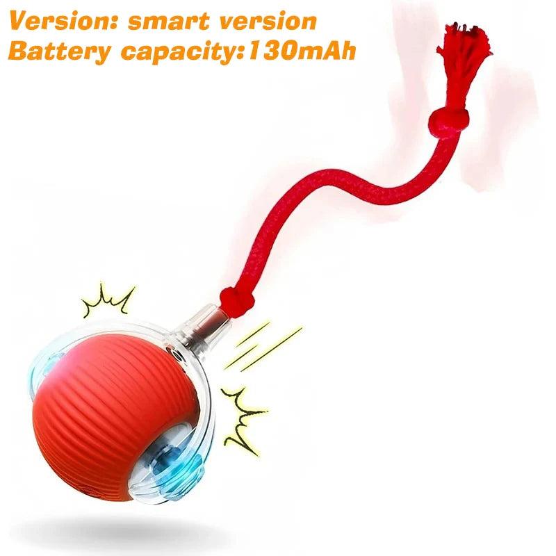 Dog Treat Dispensing Chew Ball