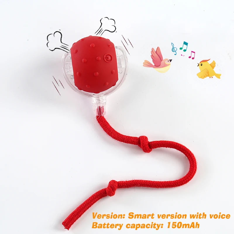 Dog Treat Dispensing Chew Ball